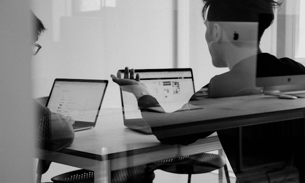 Professional reviewing funding documents and business case materials
