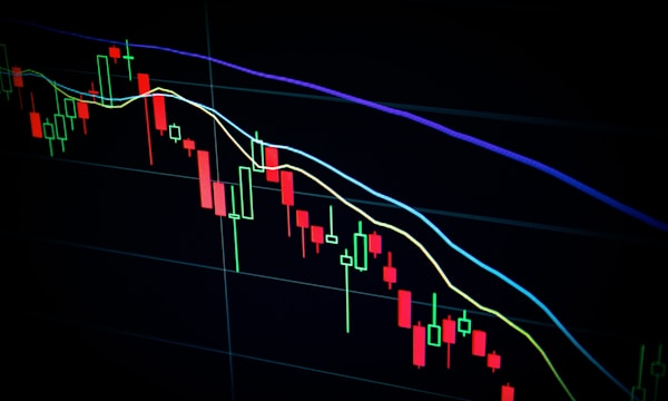 Financial charts and data visualisation representing venture growth